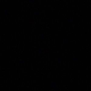 Meet your Posher, Bill